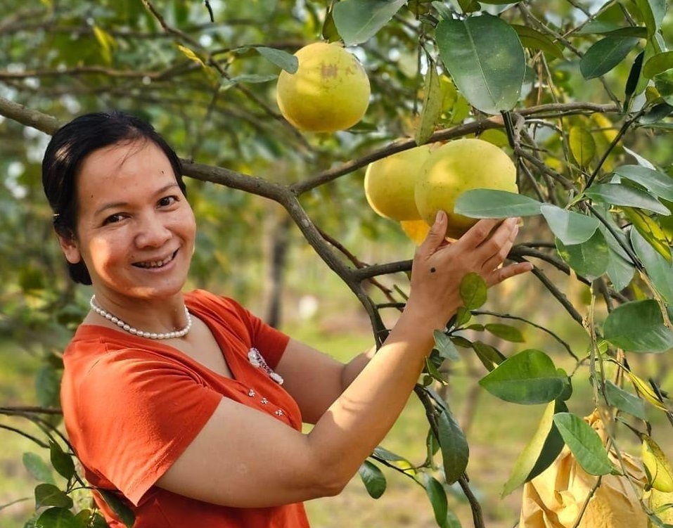 
TS Trần Thị Thanh Bình - Nông nghiệp hữu cơ đã thay đổi cuộc đời tôi ( 12/9/2023)